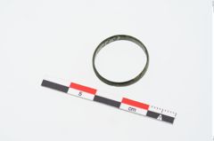 Foto von Bronzering (NHMW-PRAE-024621)